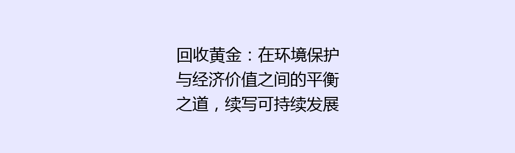 回收黄金：在环境保护与经济价值之间的平衡之道，续写可持续发展的辉煌篇章