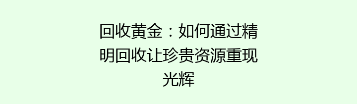 回收黄金：如何通过精明回收让珍贵资源重现光辉