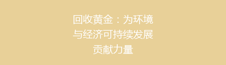 回收黄金：为环境与经济可持续发展贡献力量