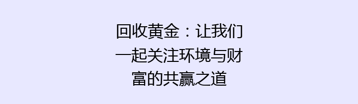 回收黄金：让我们一起关注环境与财富的共赢之道